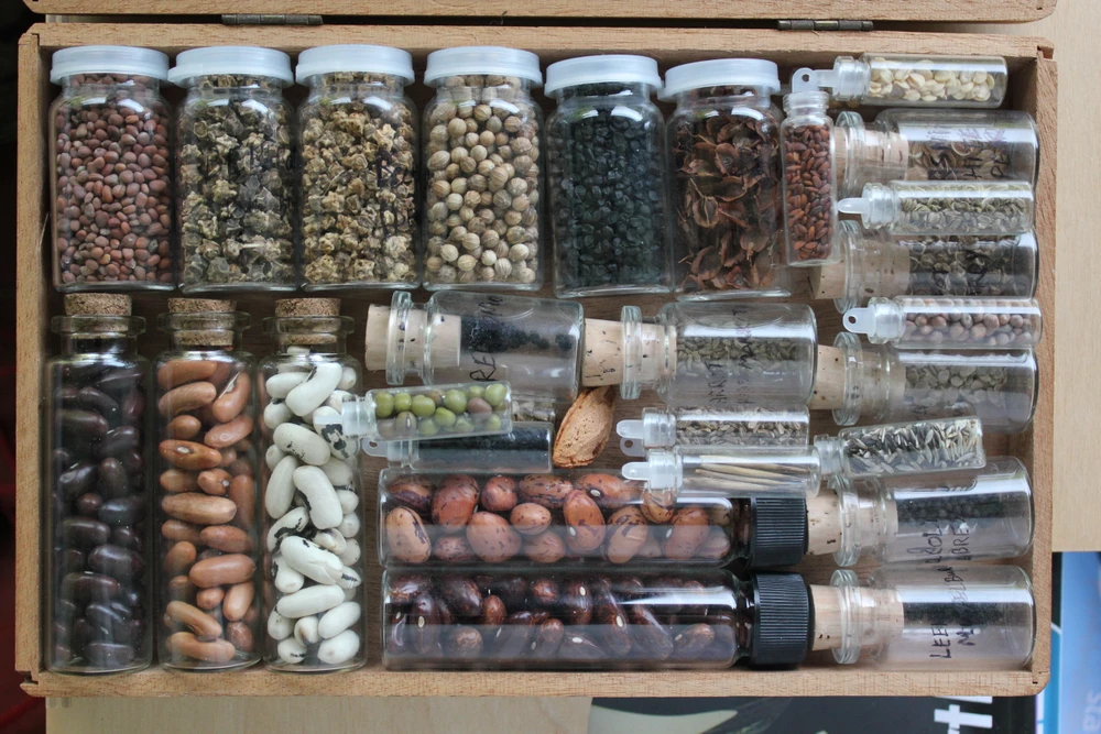 Image uploaded by Anton