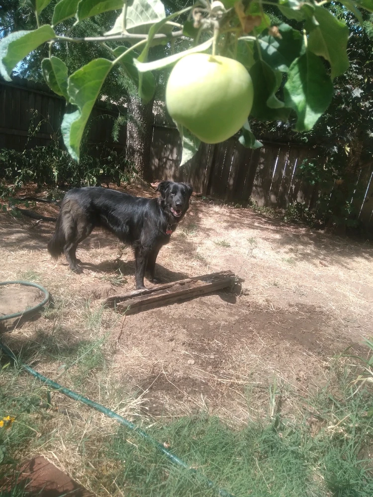 Image uploaded by Thomas