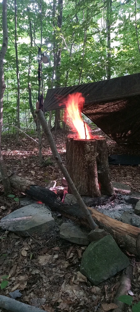 Image uploaded by Alec