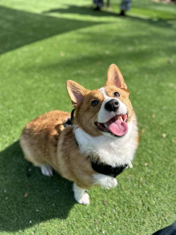 Image uploaded by Felicia