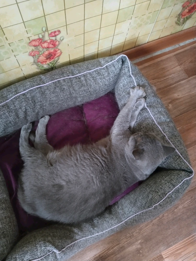 Veraがアップロードした画像