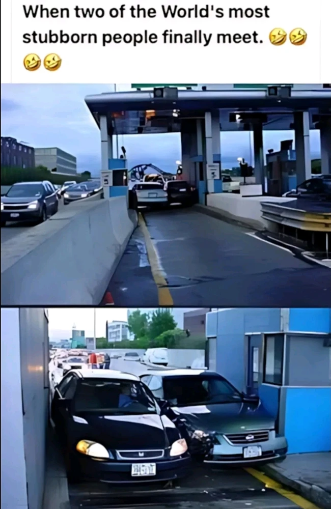 Image uploaded by Nick