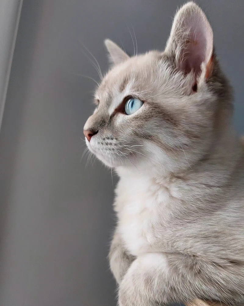 Image ajoutée par Caroline