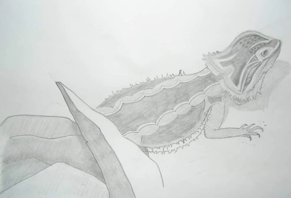 Image ajoutée par Milly