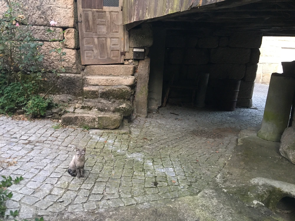 Imagem enviada por Gianluca