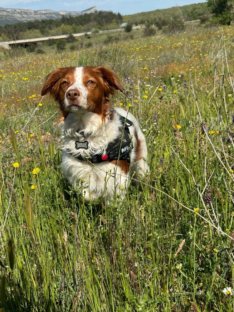 Imagen subida por Ximo