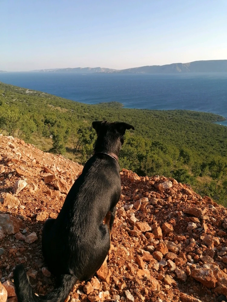 Image uploaded by Renux
