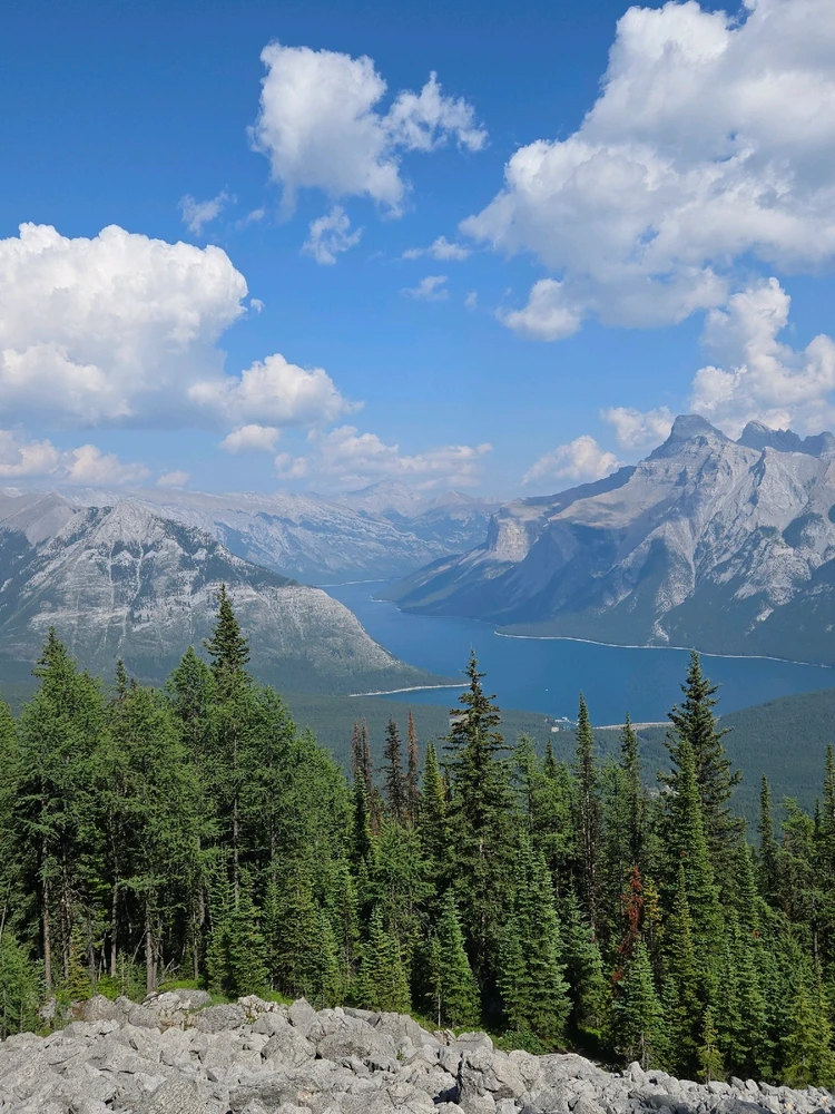 Image uploaded by Patrik