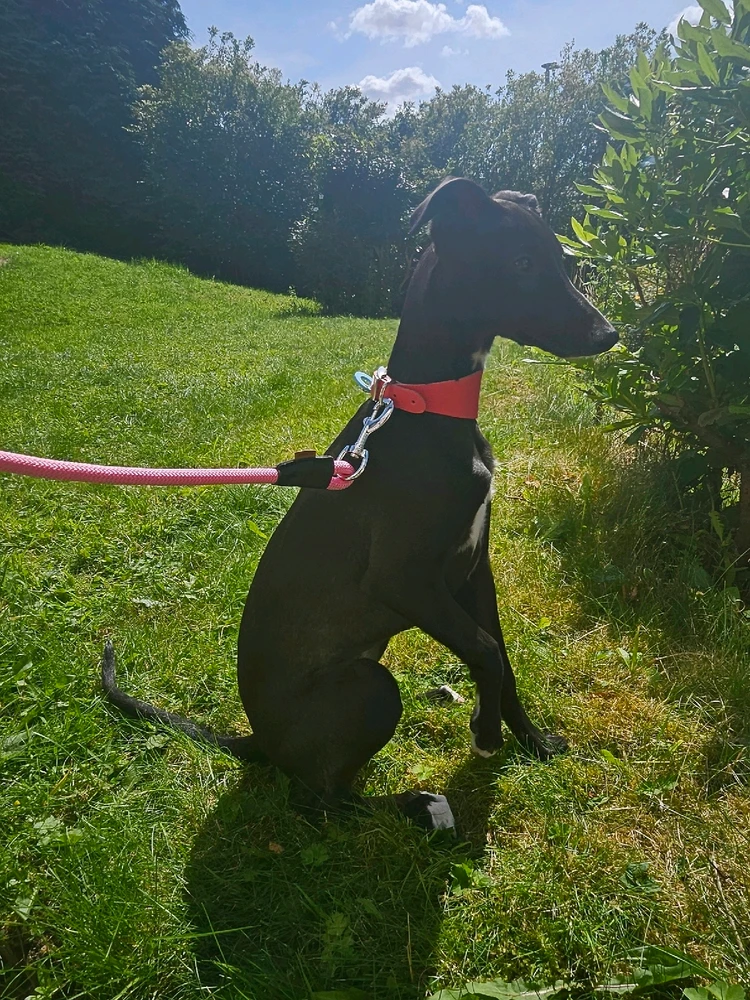 Image uploaded by Laura