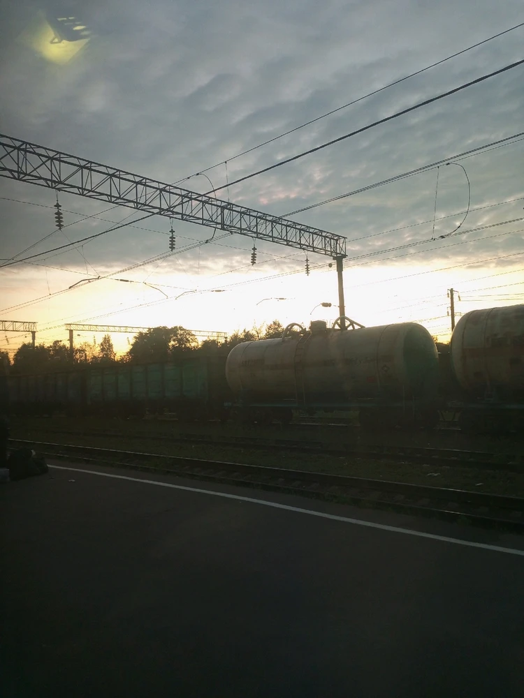 Image uploaded by Erick