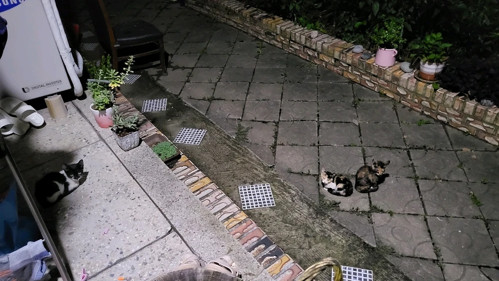 김성철님이 올린 사진