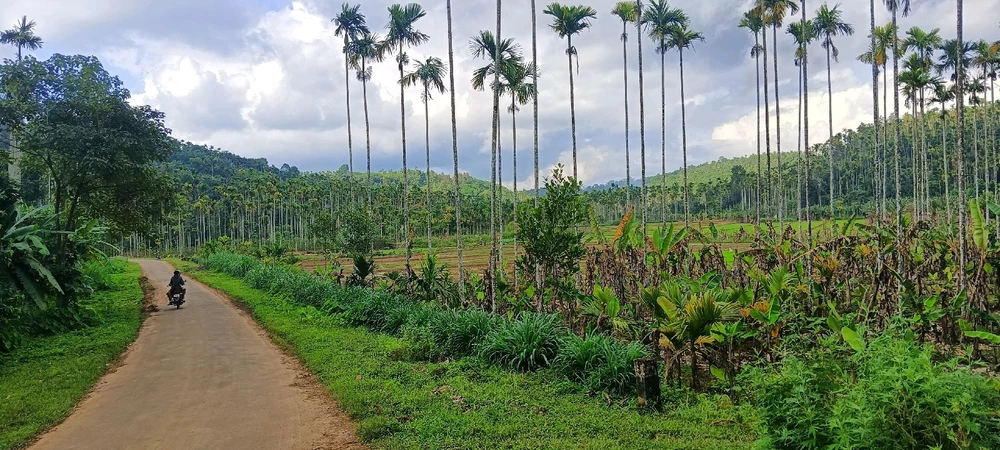 Image uploaded by Jishnu D Rajan