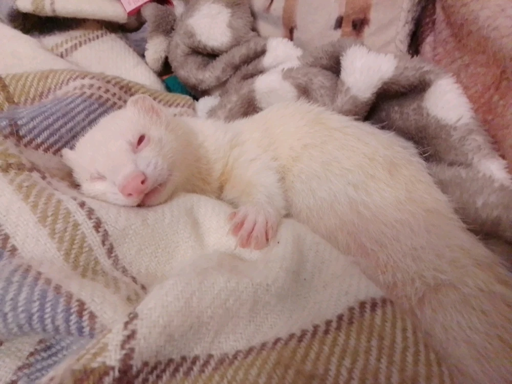 Image ajoutée par Dav