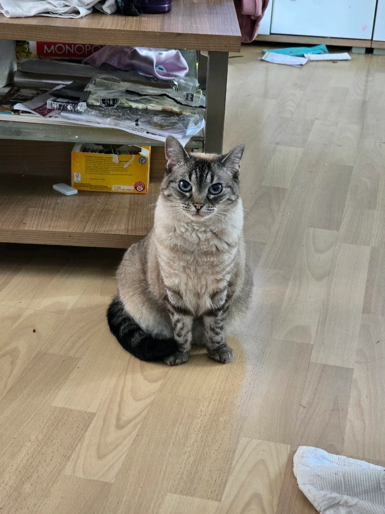 Bild hochgeladen von Jule