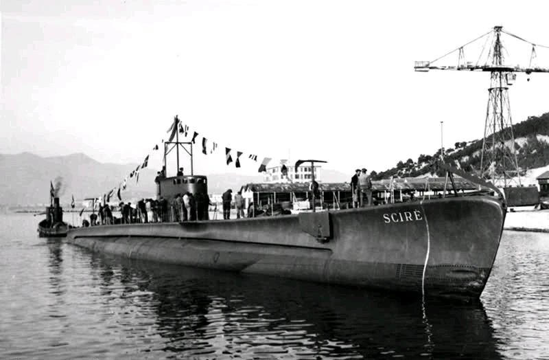 Image uploaded by Erik Thackrey