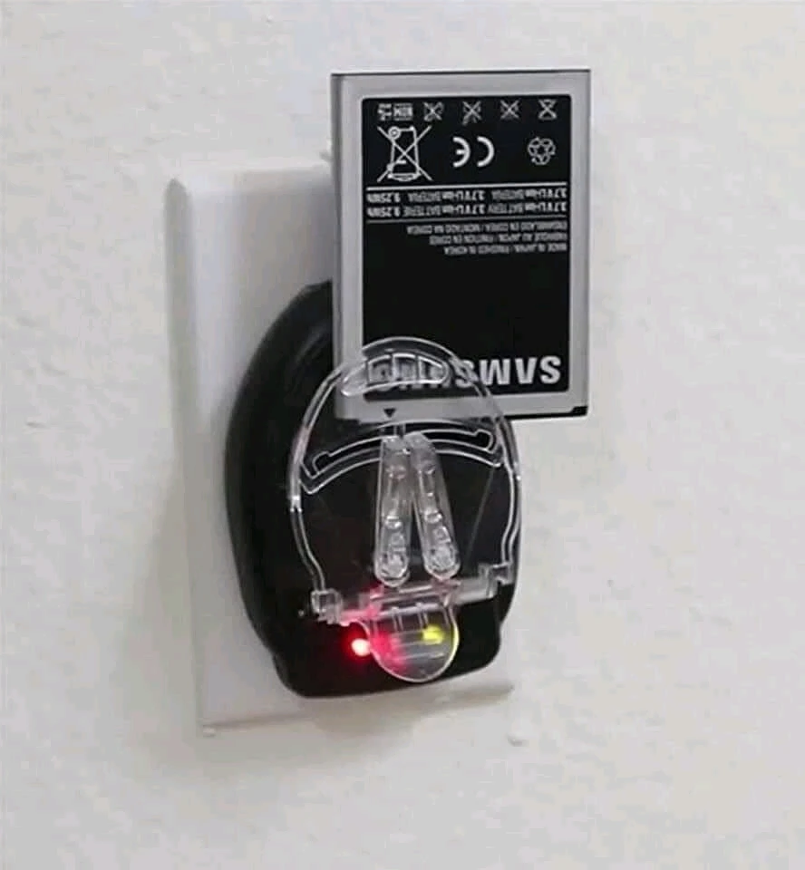 Image uploaded by Ky