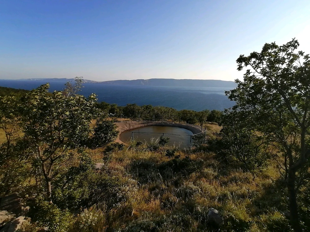 Image uploaded by Renux