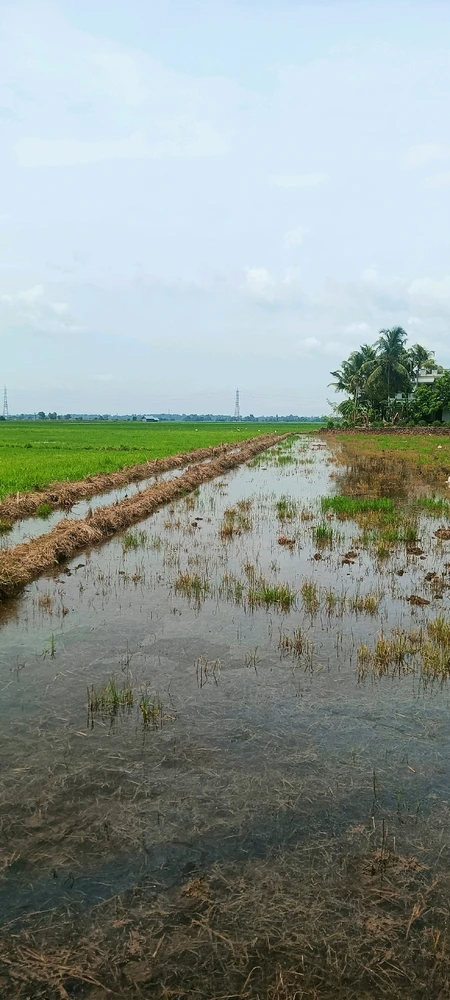 Image uploaded by Jishnu D Rajan