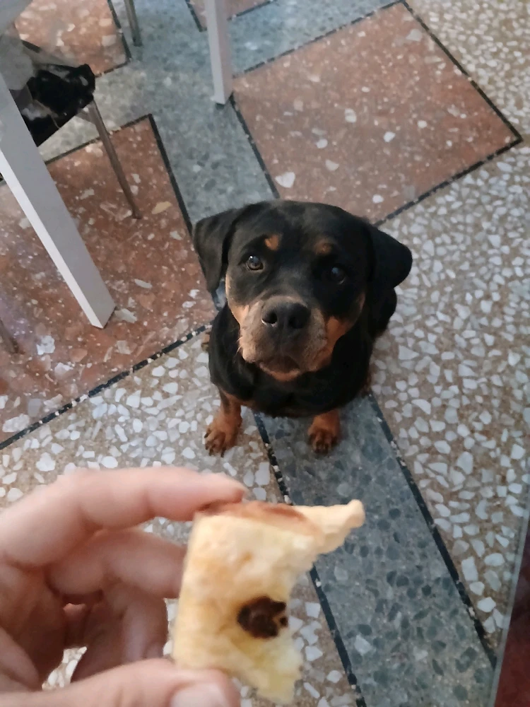 Immagine caricata da Flamì