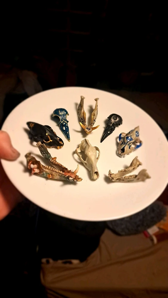 3-D printed bones, hand painted