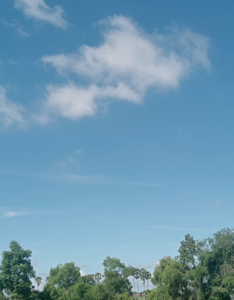 Image uploaded by Leng Leng