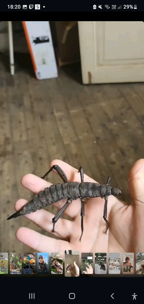 Image ajoutée par SunFlower