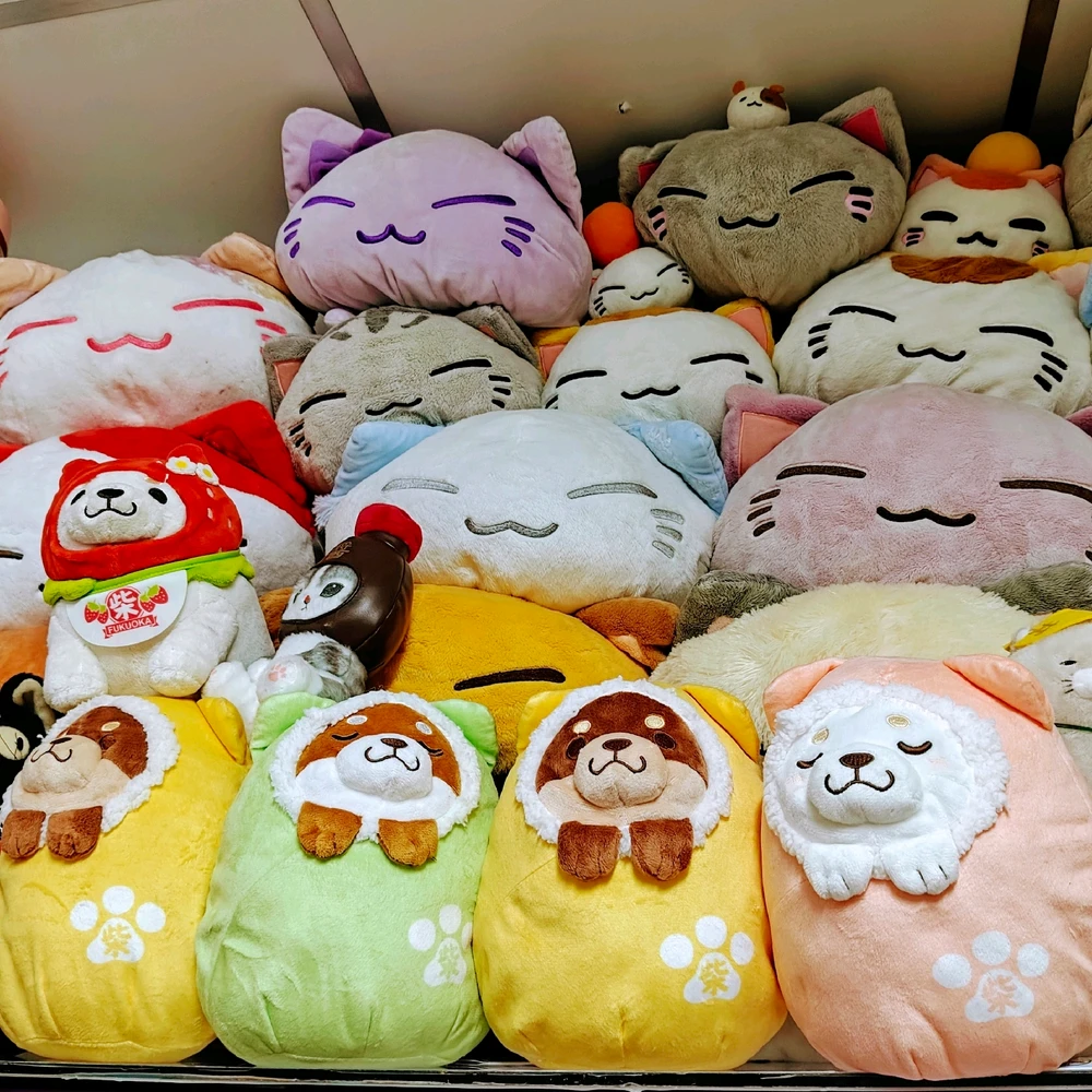 รูปที่อัพโหลดโดย วิน