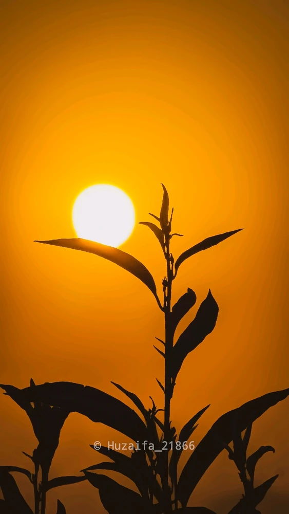 Image uploaded by Huzaifa (uzi)