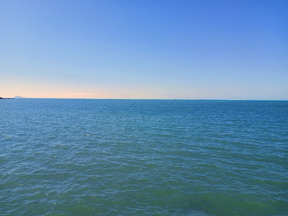 Image uploaded by Nabin