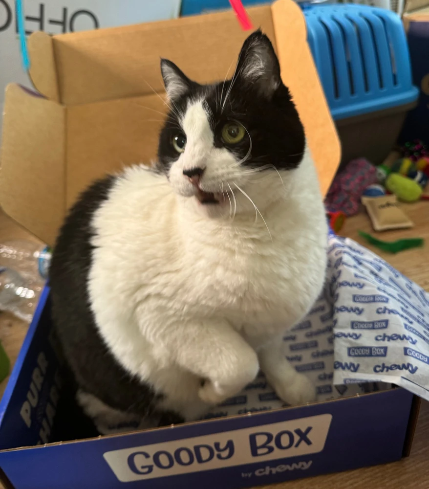 Image uploaded by Blueji