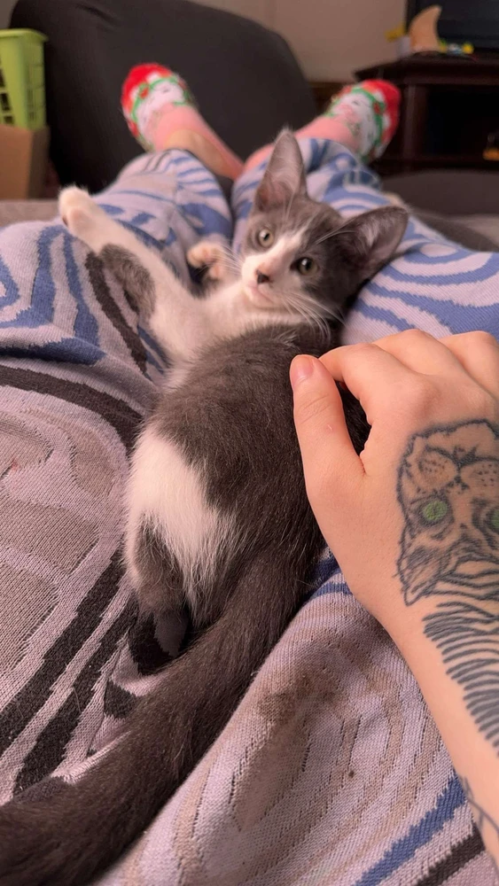 Image uploaded by Blueji