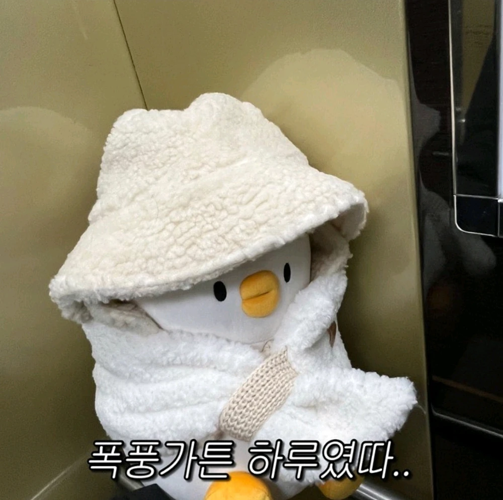 민딩님이 올린 사진