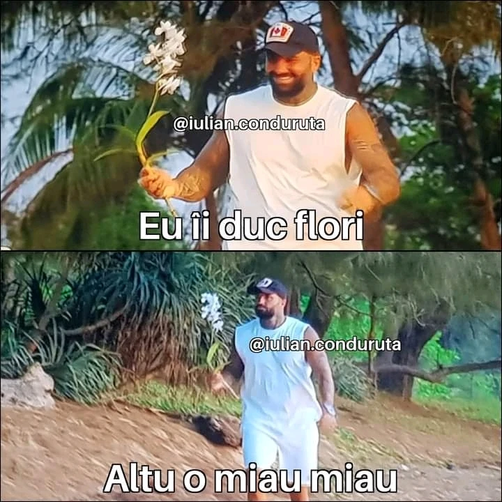 Imagine încărcată de Dragan Ion