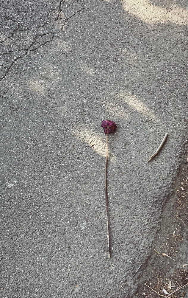 Immagine caricata da Daniele