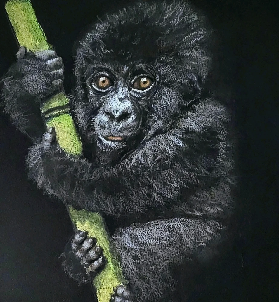 Image uploaded by Tasha