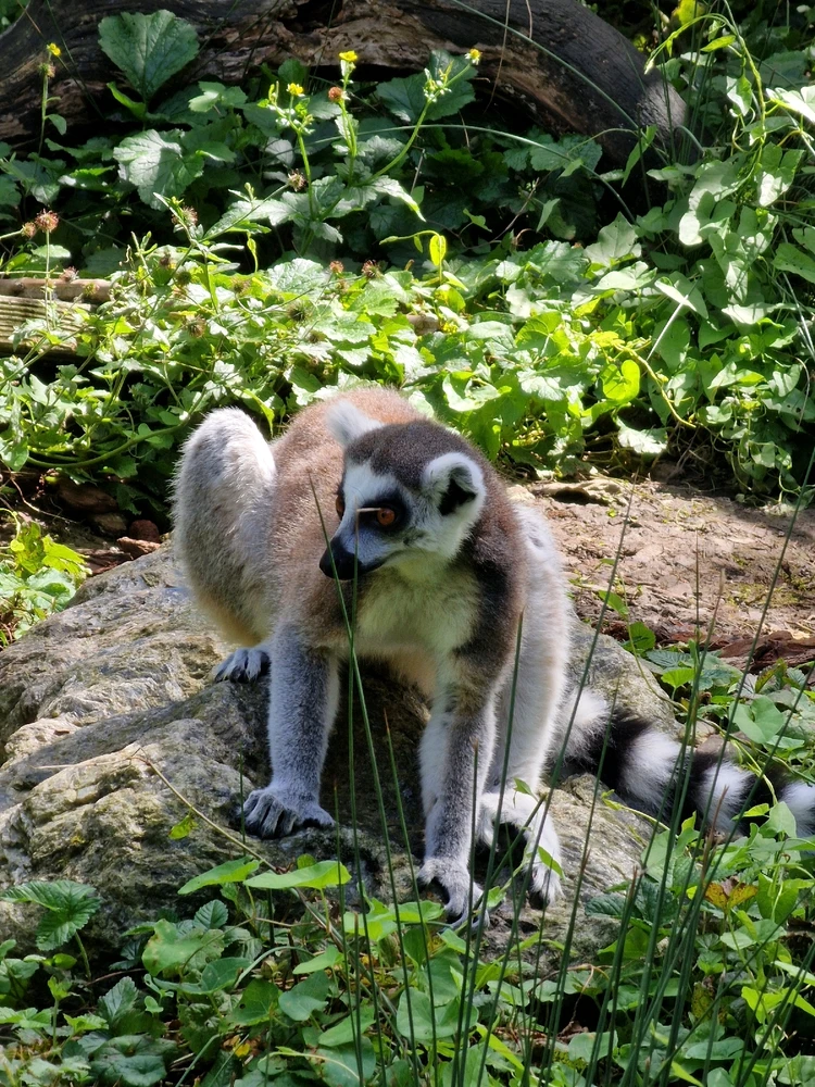 Afbeelding geüpload door Isaac