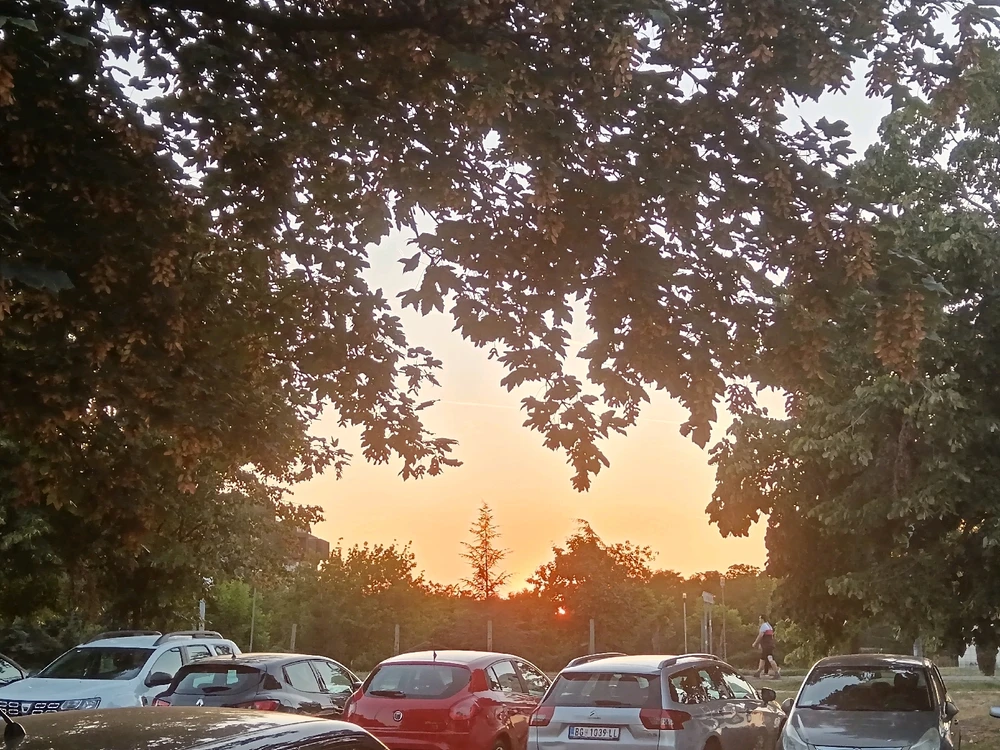 Immagine caricata da Manuel