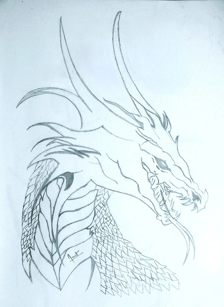 I just searched and made a picture of the dragon, I think both of them are the same, that's why I have told about it.