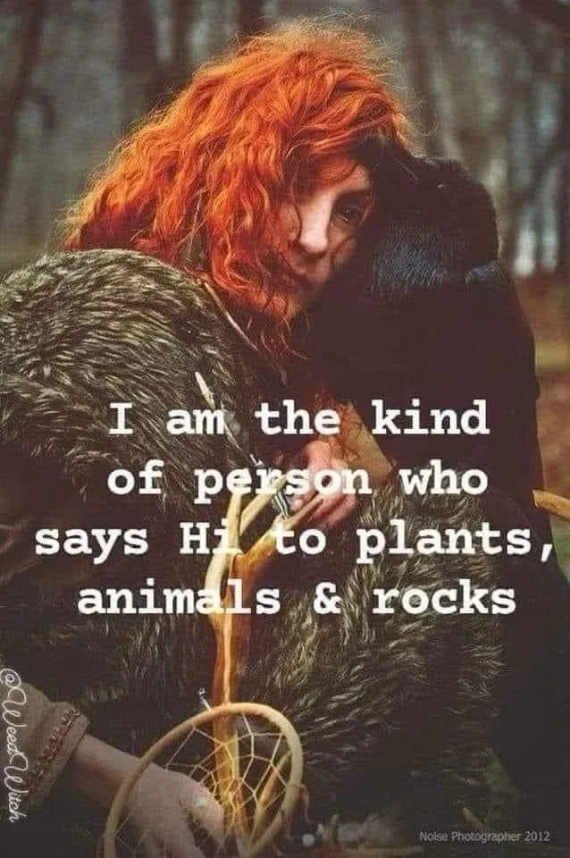 Image uploaded by Summer