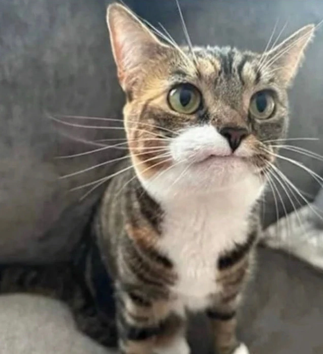 Image uploaded by Gage