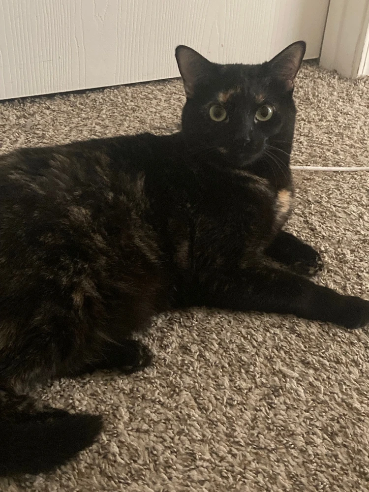 Image uploaded by Gage