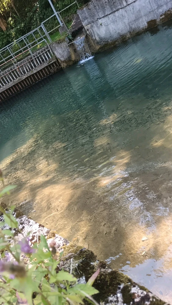 Sliko je naložil Blaz