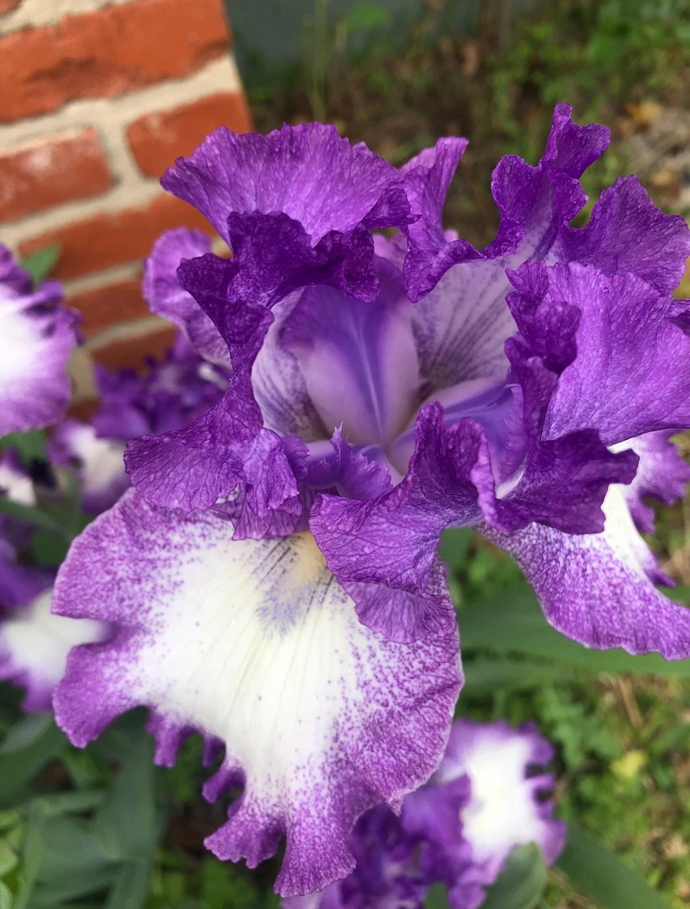 Image uploaded by L