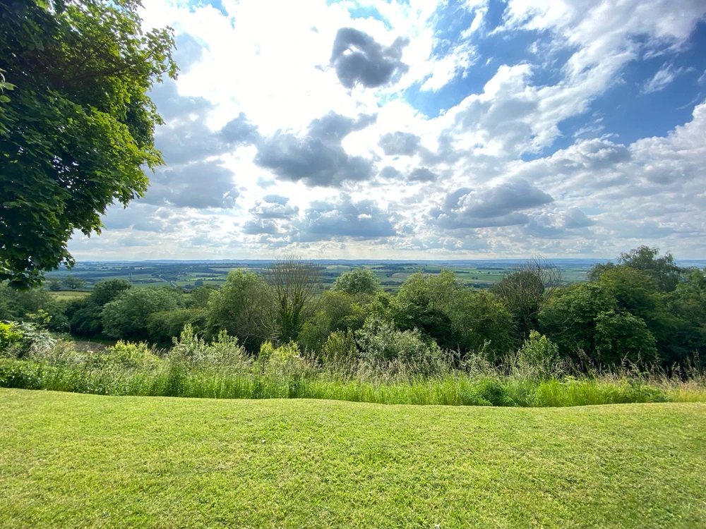 Image uploaded by Steve