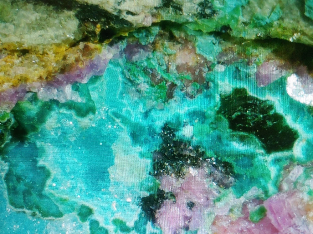 由Katlyne上传的图片