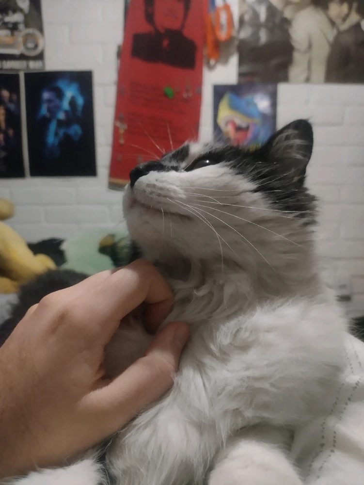 Imagen subida por Juan Ignacio