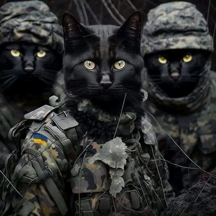 Image uploaded by Meriç