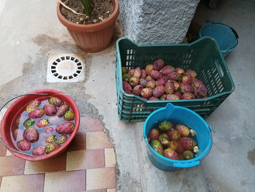 Immagine caricata da Mark Caltagirone