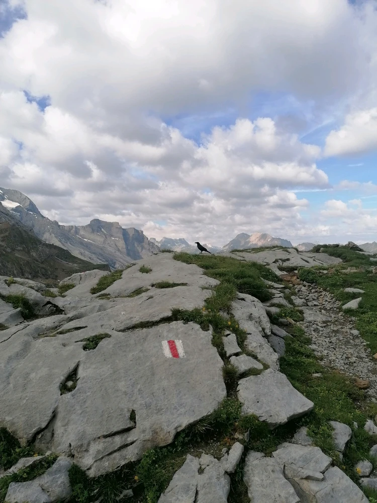 Imagem enviada por João Oliveira