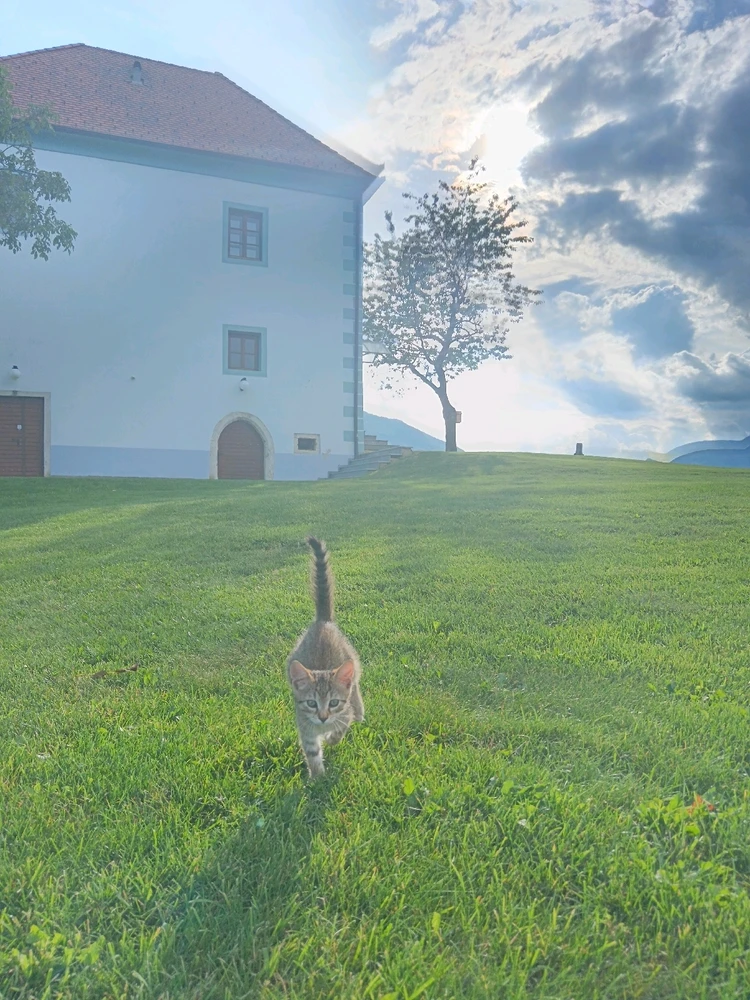 Image uploaded by Gregor